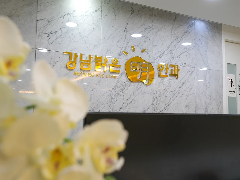 내원 · 접수 · 강남밝은명안과 첫 방문 흐름